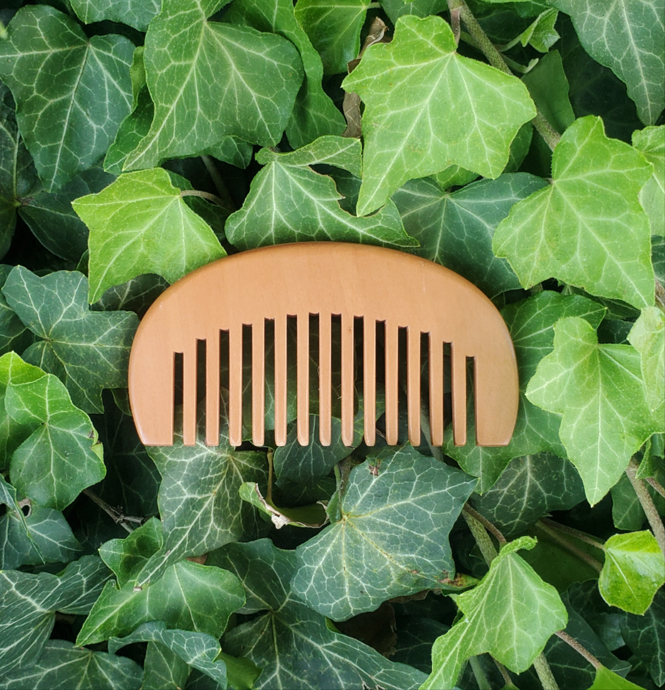 "Ground Yourself" Travel Comb