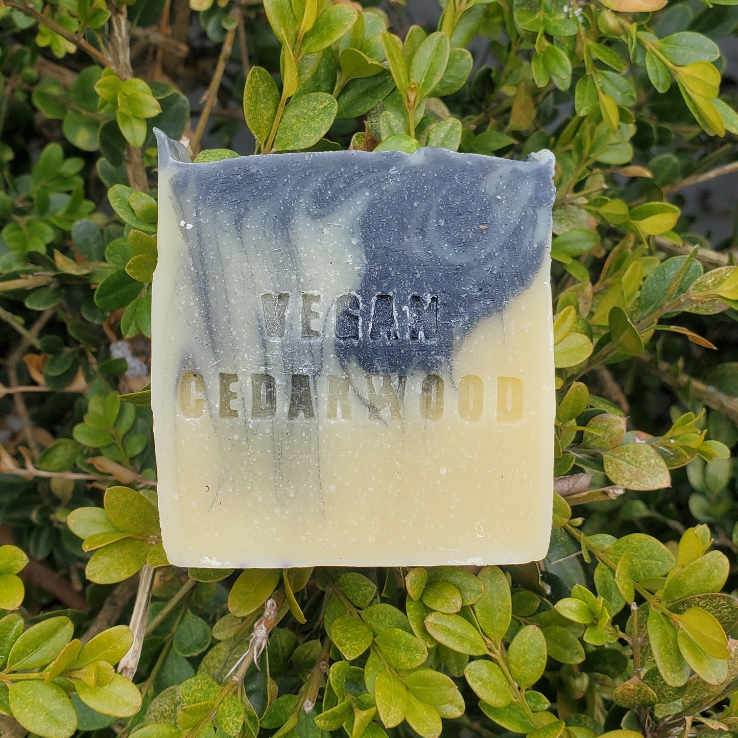Pittsburgh Soap